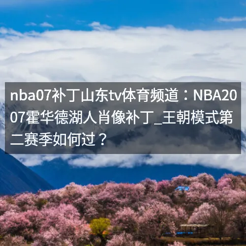 nbaaaa07补丁山东tv体育频道：nbaaaa2007霍华德湖人肖像补丁_王朝模式第二赛季如何过？