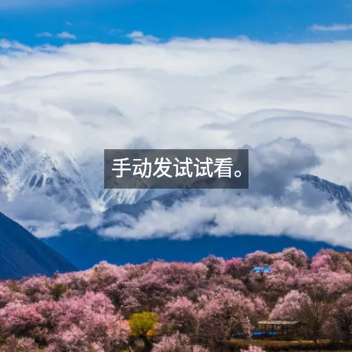 手动发试试看。